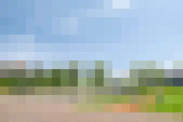 dr. Leenhoutsstraat 42 Hoek thumbnail 26