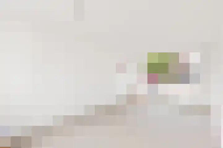 dr. Leenhoutsstraat 42 Hoek thumbnail 7
