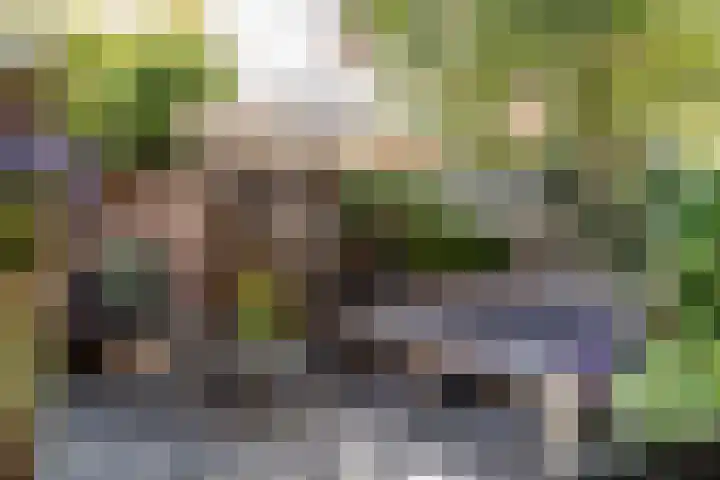 Dr. Leijdsstraat 115 Haarlem thumbnail 25