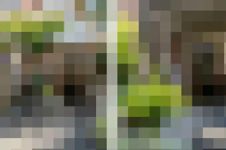 Dr. Leijdsstraat 115 Haarlem thumbnail 28
