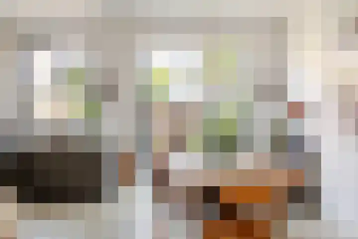Dr. Leijdsstraat 115 Haarlem thumbnail 8