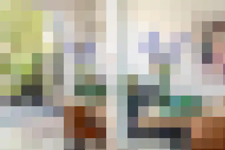 Dr. Leijdsstraat 115 Haarlem thumbnail 9