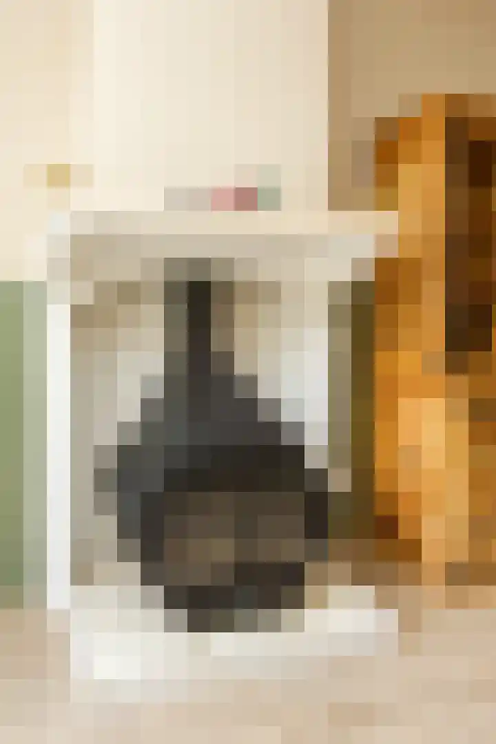 Dr. Leijdsstraat 15 Haarlem thumbnail 11