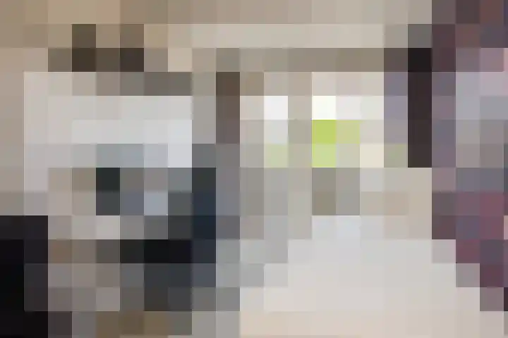Dr. Leijdsstraat 15 Haarlem thumbnail 27
