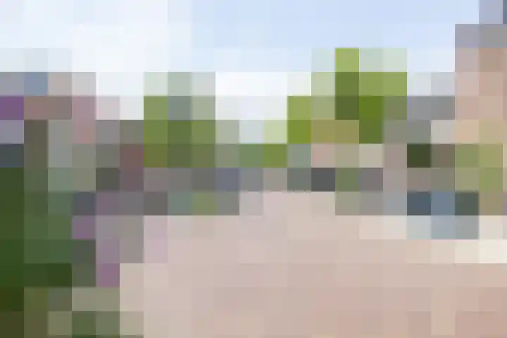 Dr. Leijdsstraat 15 Haarlem thumbnail 32