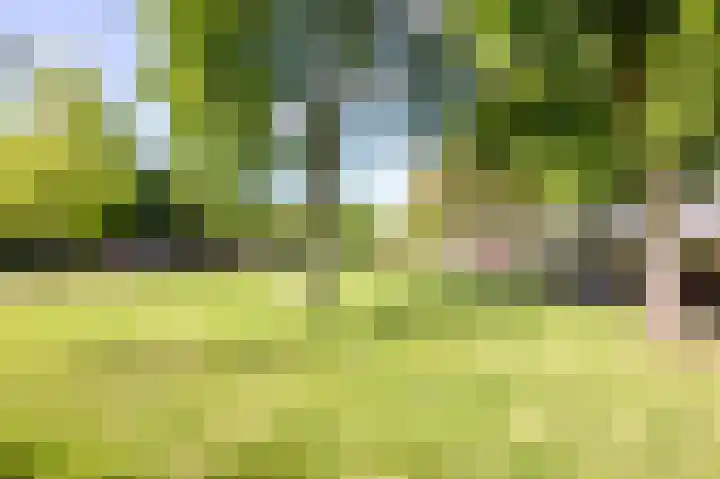 Dr. Leijdsstraat 15 Haarlem thumbnail 33