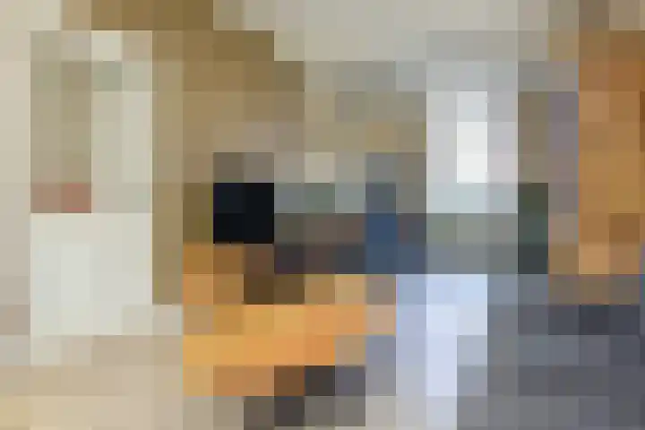 Dr. Leijdsstraat 15 Haarlem thumbnail 4