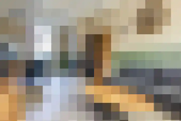 Dr. Leijdsstraat 15 Haarlem thumbnail 5