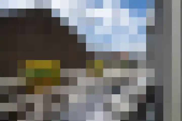 Dr. Leijdsstraat 38 Haarlem thumbnail 17