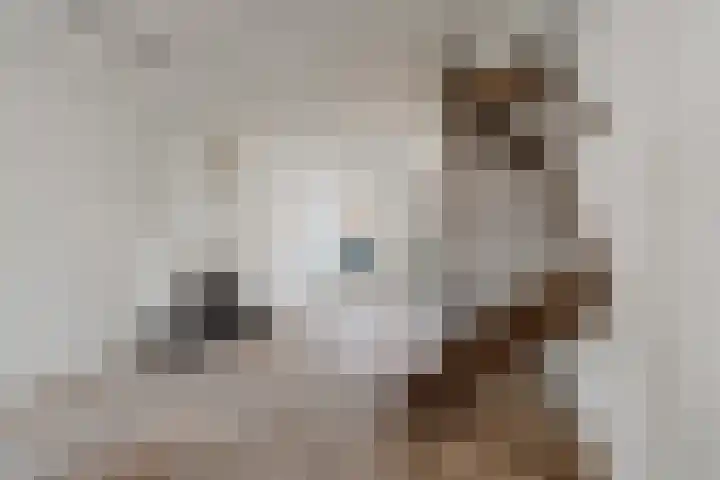 Dr. Leijdsstraat 46 Haarlem thumbnail 4
