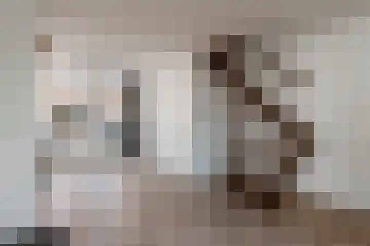 Dr. Leijdsstraat 46 Haarlem thumbnail 7