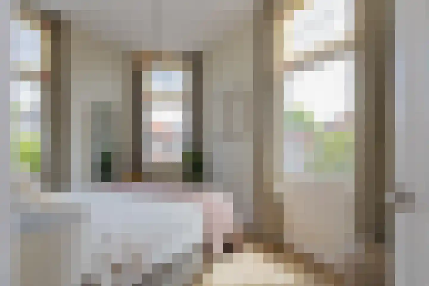 Dr. Leijdsstraat 54 RD Haarlem thumbnail 20