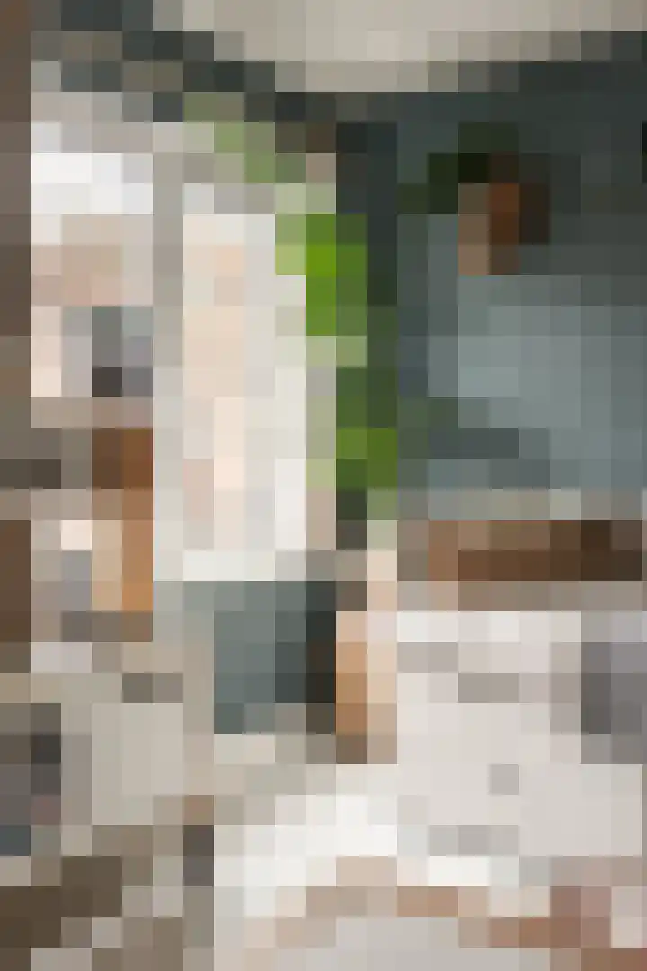 Dr. Leijdsstraat 63 Haarlem thumbnail 24
