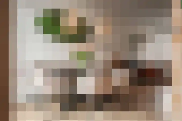Dr. Leijdsstraat 63 Haarlem thumbnail 4