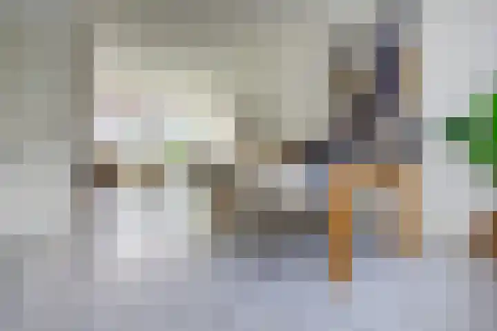 Dr. Leijdsstraat 73 Haarlem thumbnail 10