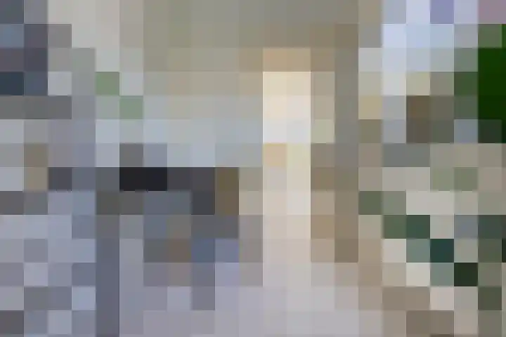 Dr. Leijdsstraat 73 Haarlem thumbnail 17