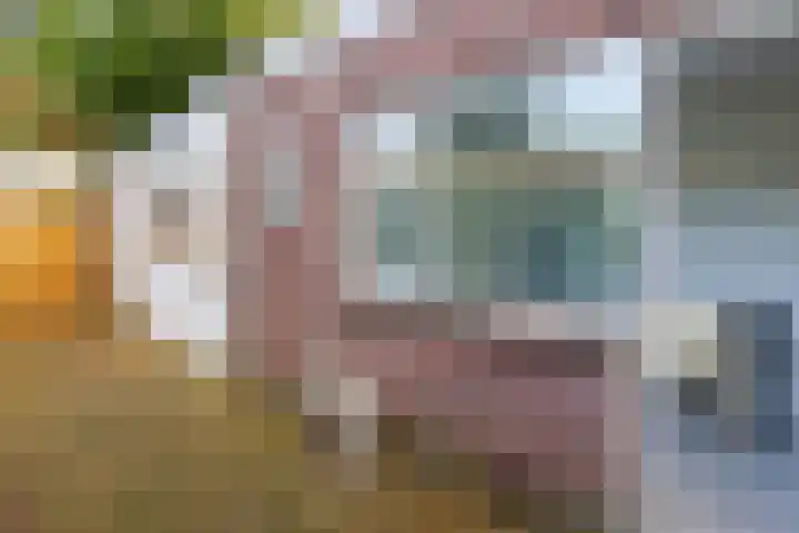 Dr. Leijdsstraat 73 Haarlem thumbnail 22