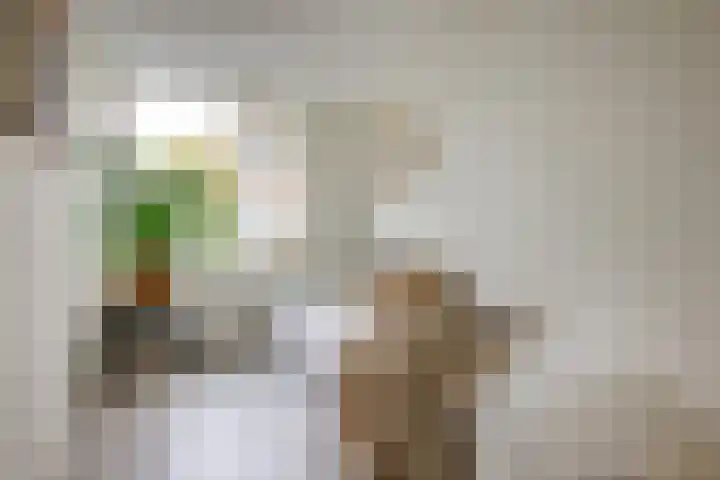 Dr. Leijdsstraat 73 Haarlem thumbnail 33