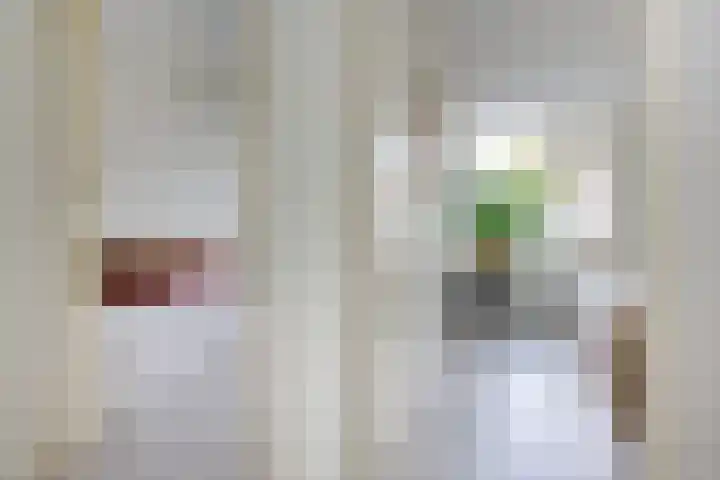 Dr. Leijdsstraat 73 Haarlem thumbnail 34