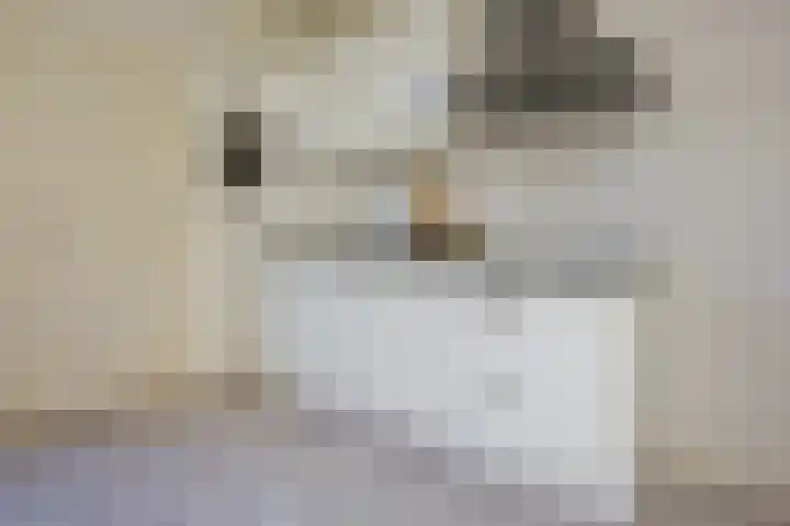 Dr. Leijdsstraat 73 Haarlem thumbnail 9