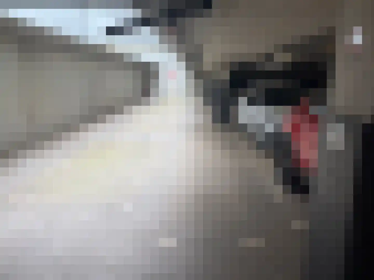 Dr. Lelykade 158 Den Haag thumbnail 5