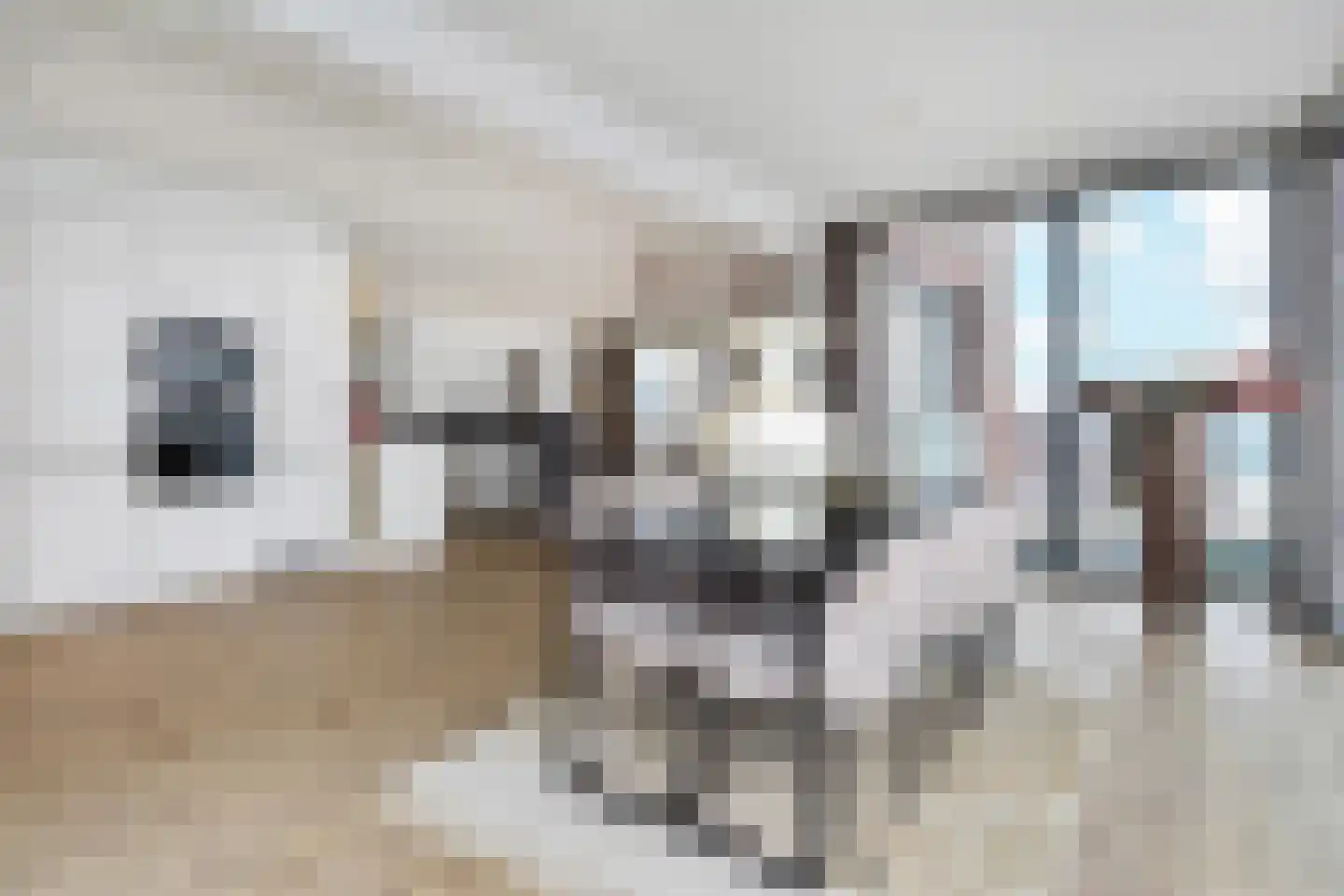 Dr. Lelykade 158 S Den Haag thumbnail 26
