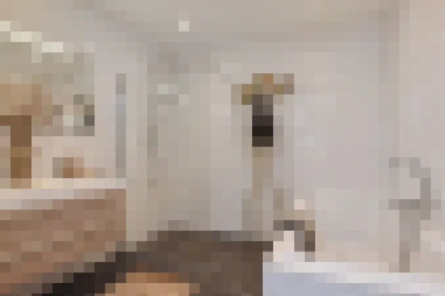 Dr. Lelykade 158 S Den Haag thumbnail 47