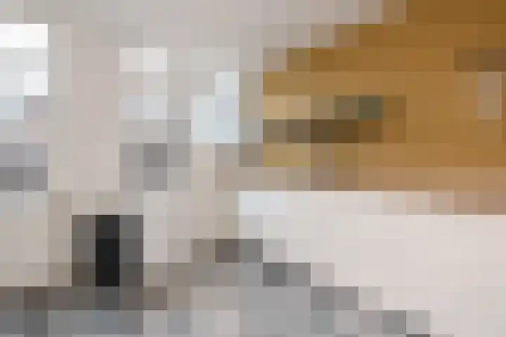 Dr. Lelykade 194 Den Haag thumbnail 12