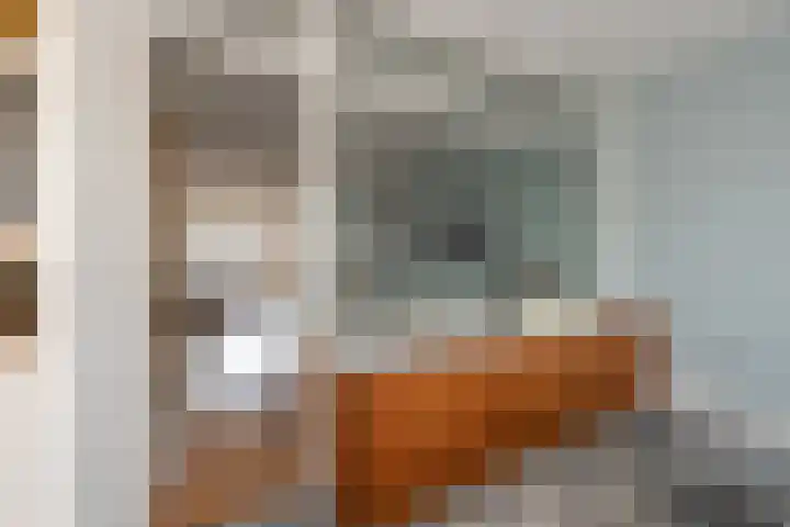 Dr. Lelykade 194 Den Haag thumbnail 23