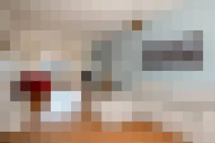 Dr. Lelykade 194 Den Haag thumbnail 8
