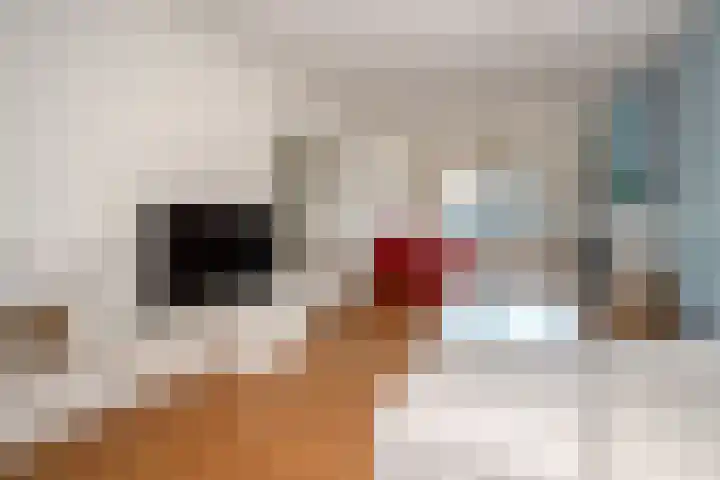 Dr. Lelykade 194 Den Haag thumbnail 9