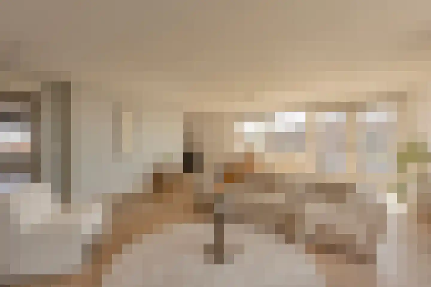Dr. Lelykade 216 Den Haag thumbnail 16
