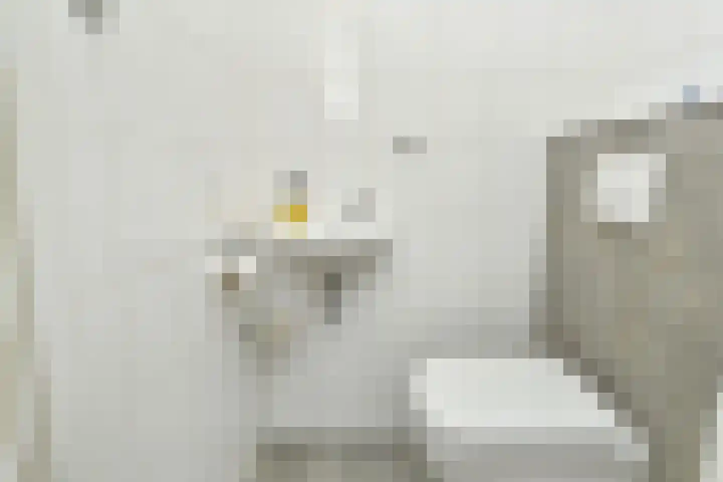 Dr. Lelykade 216 Den Haag thumbnail 19