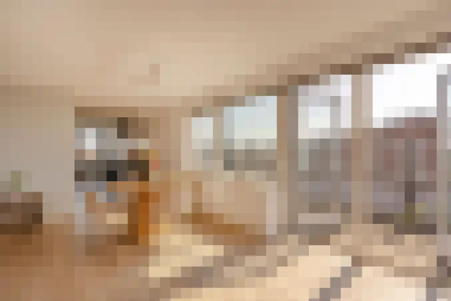 Dr. Lelykade 216 Den Haag thumbnail 23