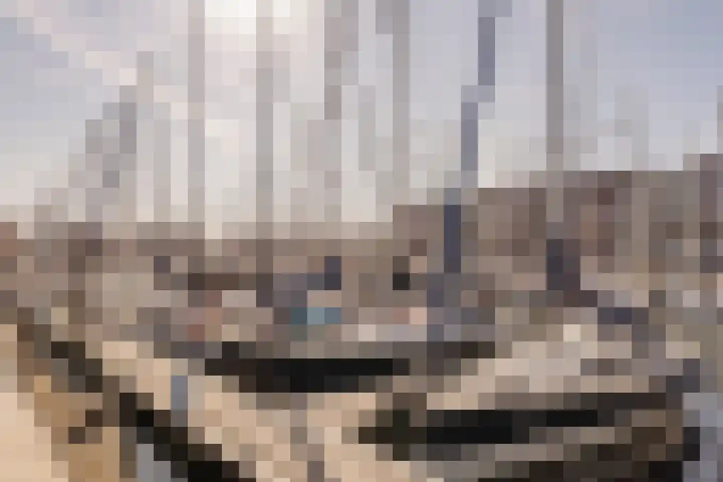 Dr. Lelykade 216 Den Haag thumbnail 43