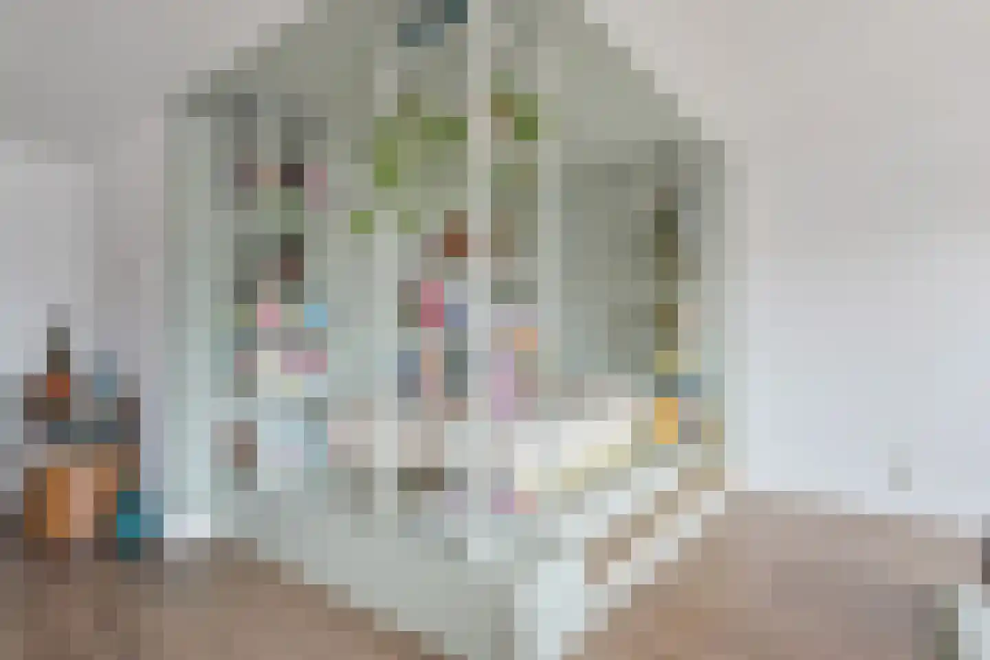Dr. Lelykade 224 D Den Haag thumbnail 11