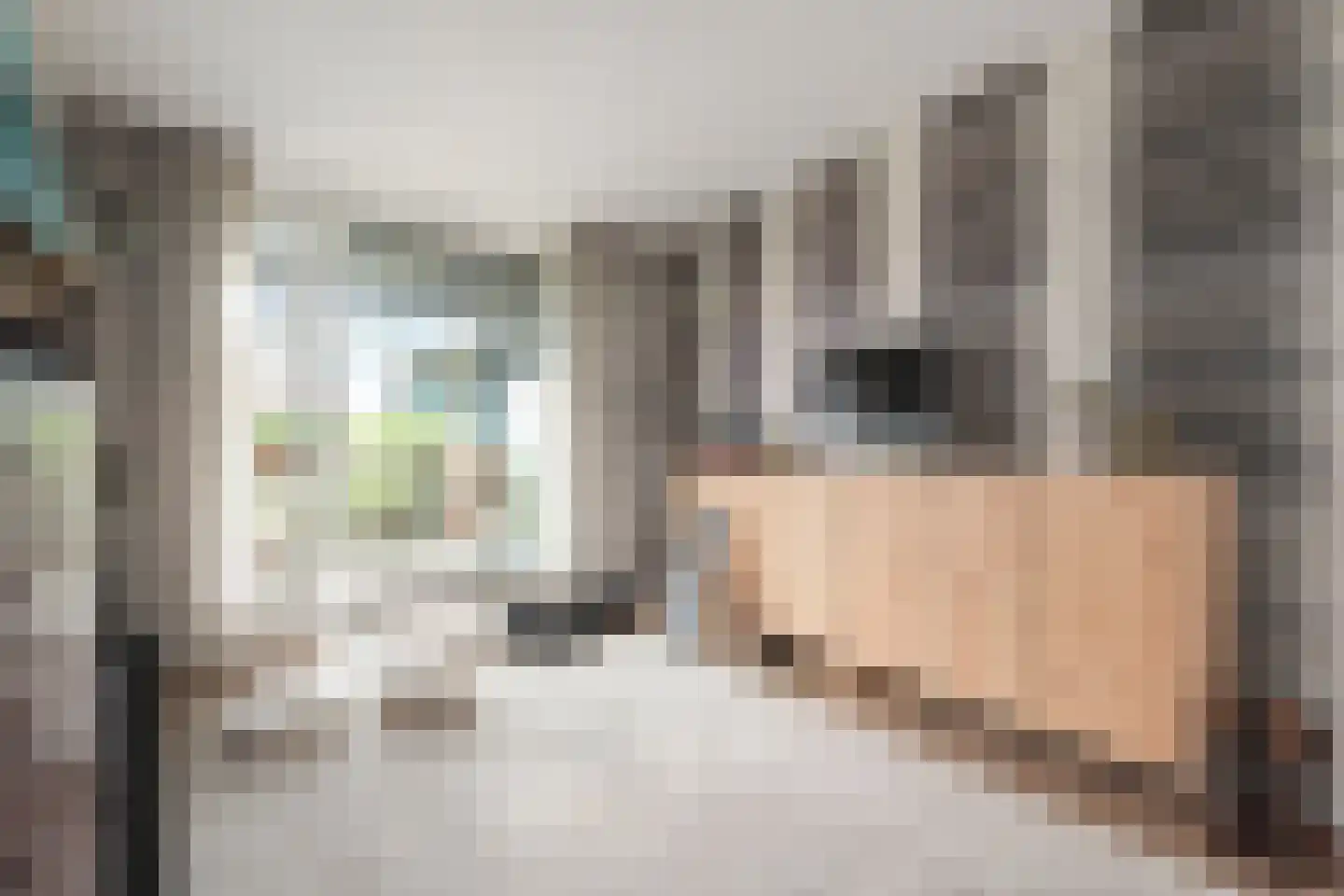 Dr. Lelykade 224 D Den Haag thumbnail 15