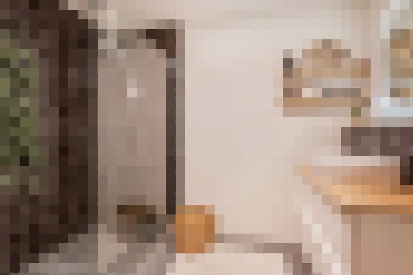Dr. Lelykade 224 D Den Haag thumbnail 26