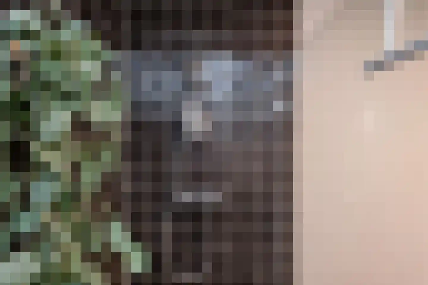 Dr. Lelykade 224 D Den Haag thumbnail 27