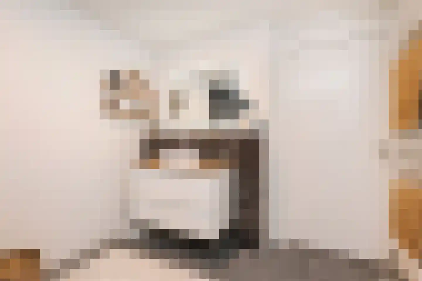 Dr. Lelykade 224 D Den Haag thumbnail 28
