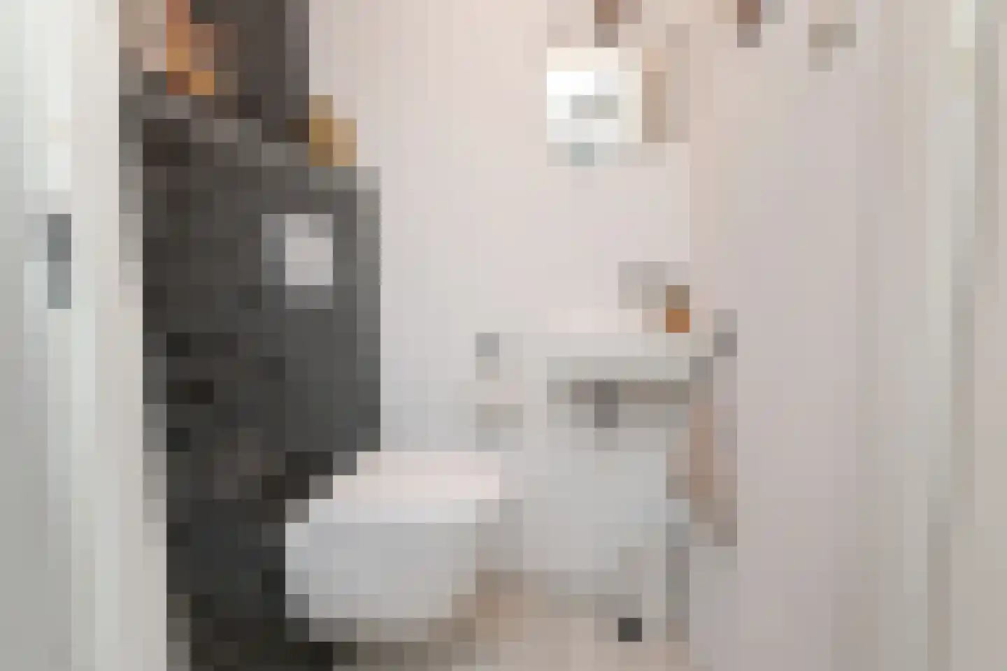 Dr. Lelykade 224 D Den Haag thumbnail 29