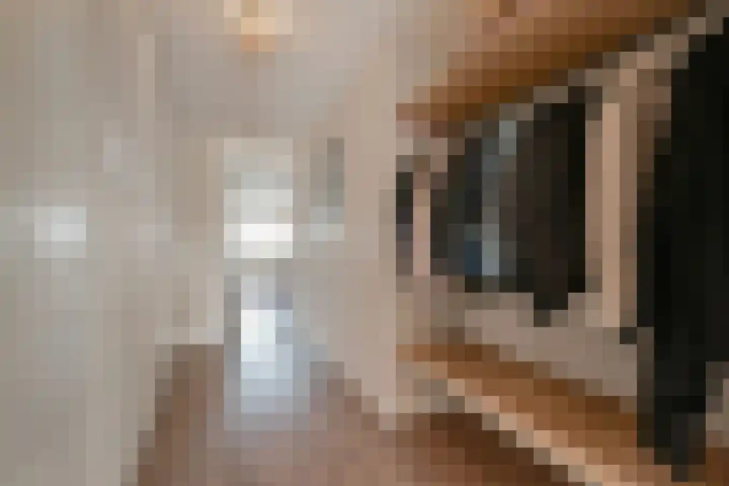 Dr. Lelykade 224 D Den Haag thumbnail 8