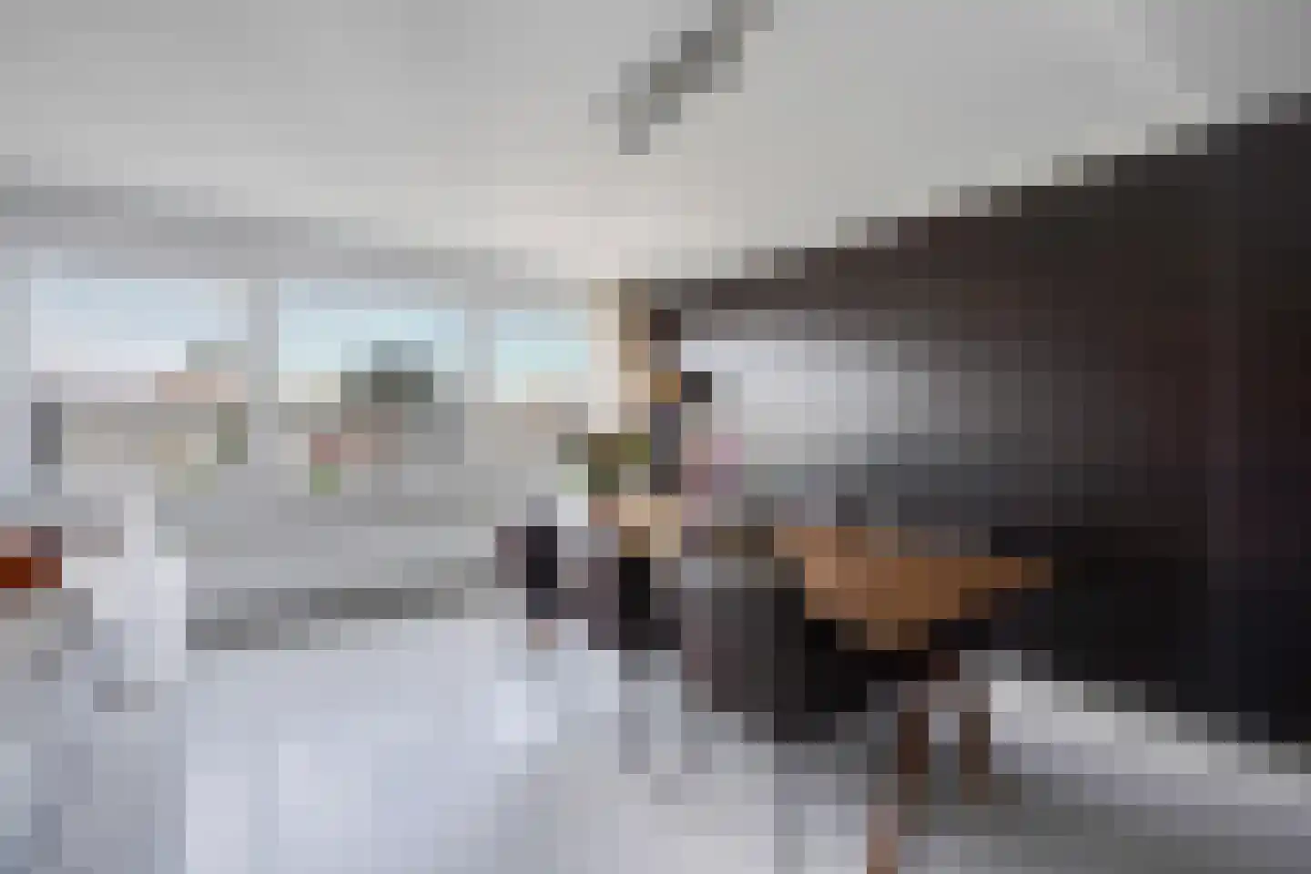 Dr. Lelykade 226 D Den Haag thumbnail 21