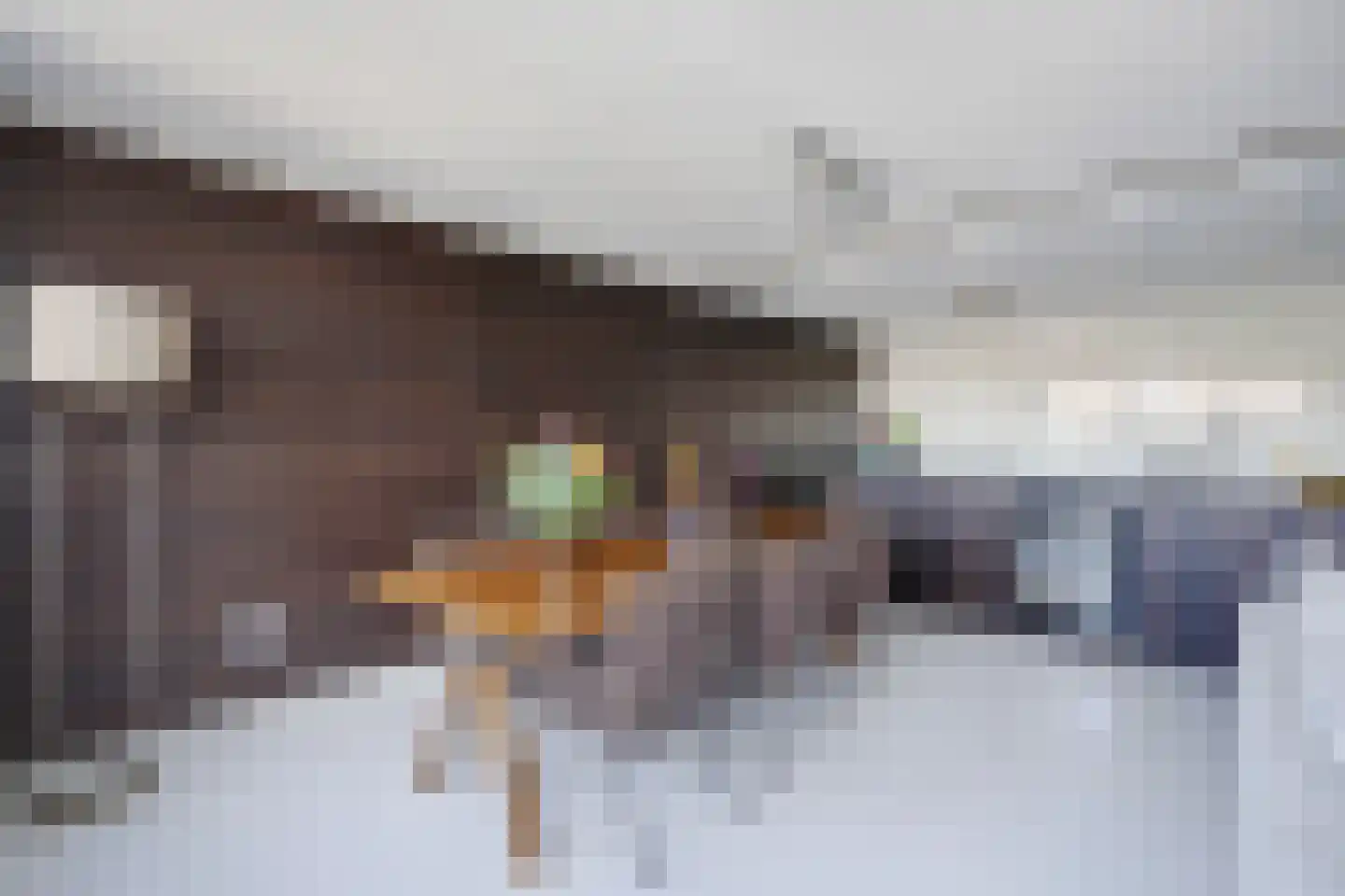 Dr. Lelykade 226 D Den Haag thumbnail 30
