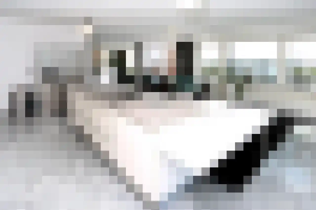 Dr. Lelykade 236 B Den Haag thumbnail 12
