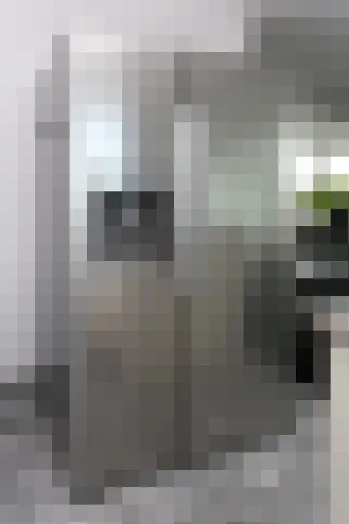 Dr. Lelykade 236 B Den Haag thumbnail 14