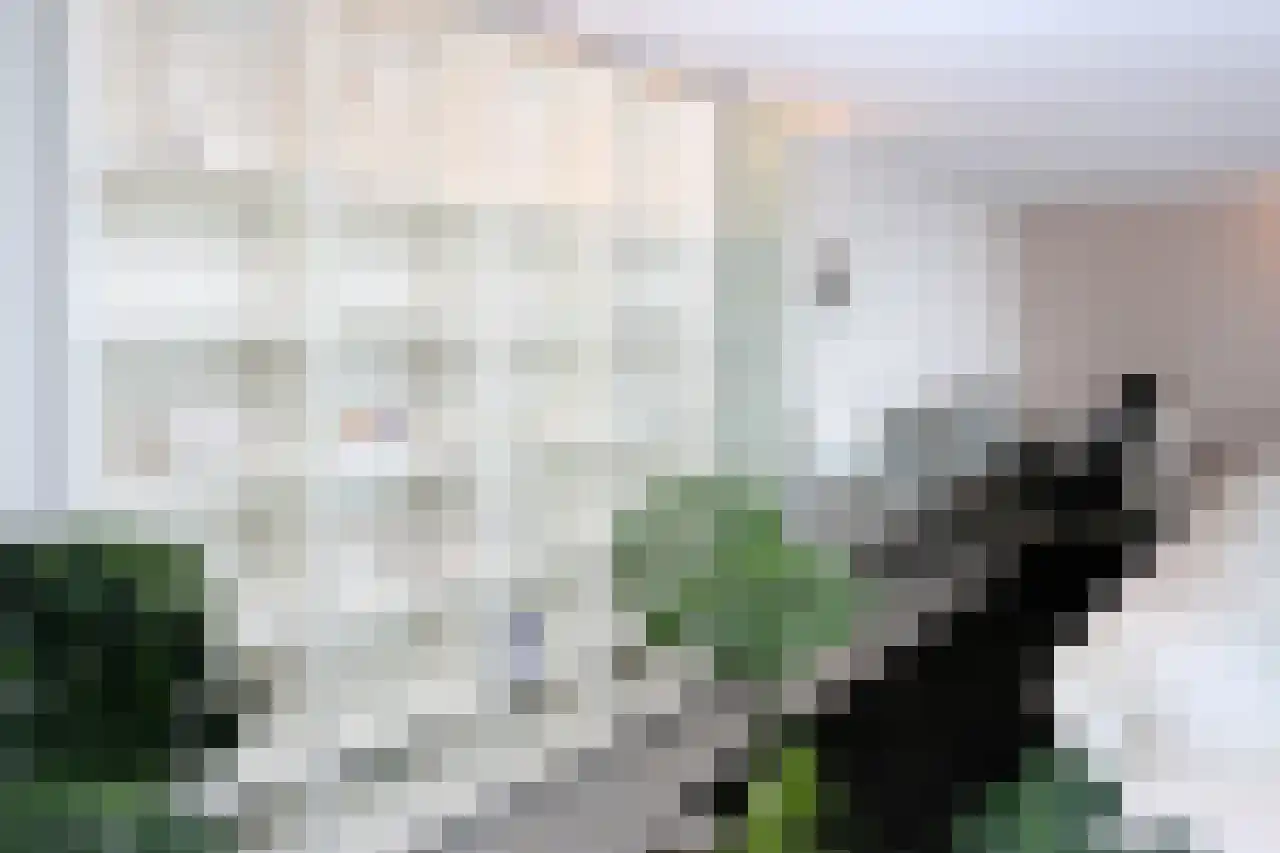 Dr. Lelykade 236 B Den Haag thumbnail 9