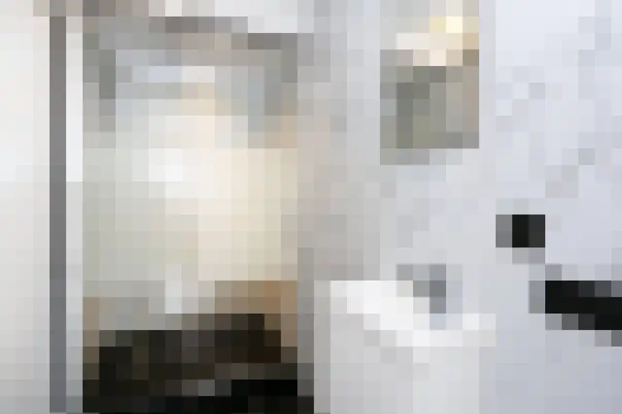 Dr. Lelykade 236 D Den Haag thumbnail 26
