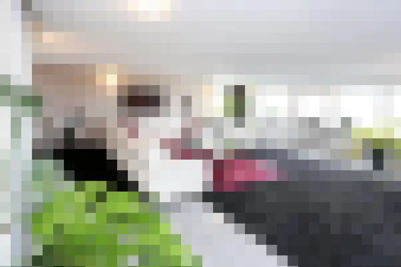 Dr. Lelykade 236 D Den Haag thumbnail 4