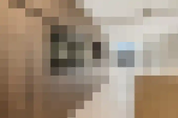 Dr. Lelykade 272 A Den Haag thumbnail 10